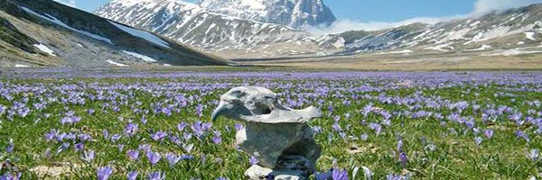 GiuliaemmaC Profile Banner