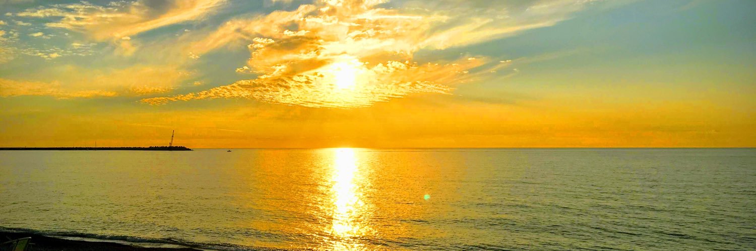 Vitaly Leonov banner