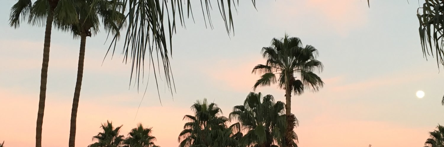 JimLeitner's profile banner image