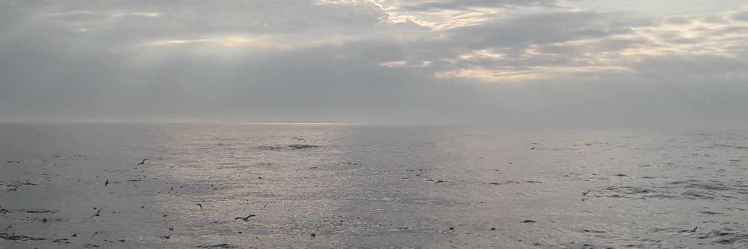 unicarna's profile banner image