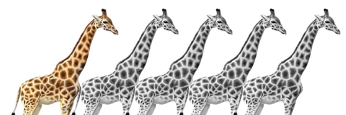karlynv29's profile banner image