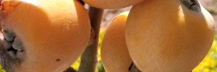 weldikhalifa's profile banner image