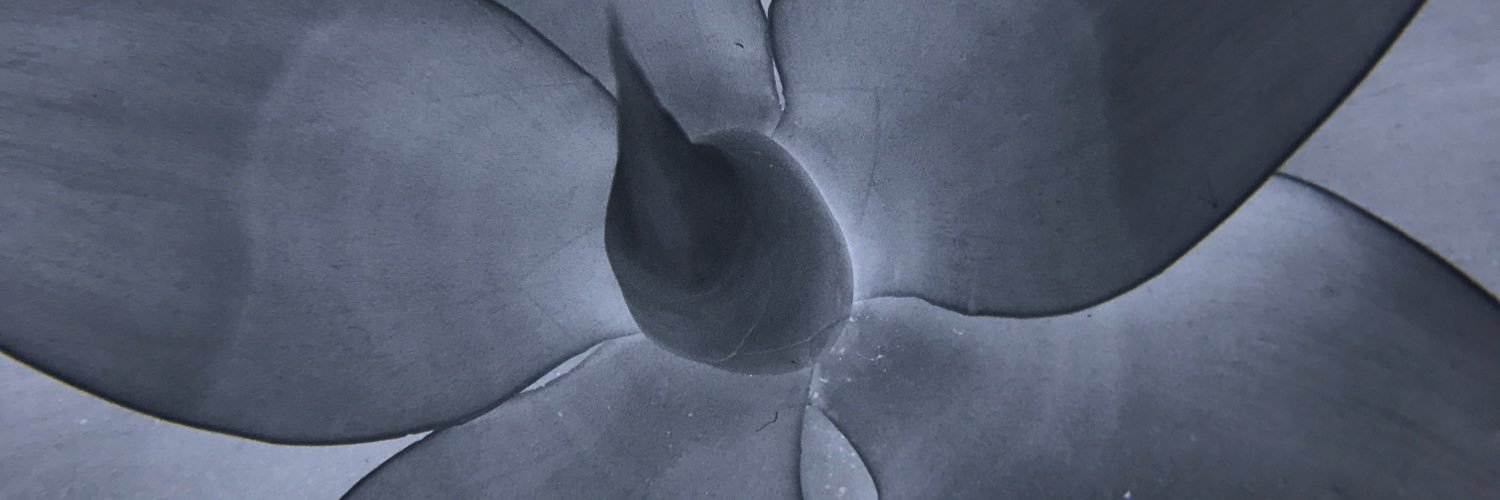 CCaffi's profile banner image
