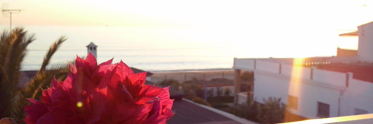 Ana Bort banner