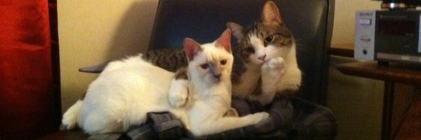 rowens_official Profile Banner