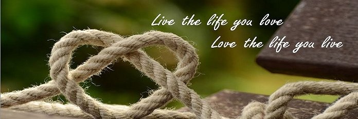 Mertine Middelkoop banner