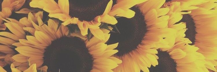 PriscilaRuiz3's profile banner image