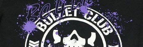 BulletClubGirl's profile banner image
