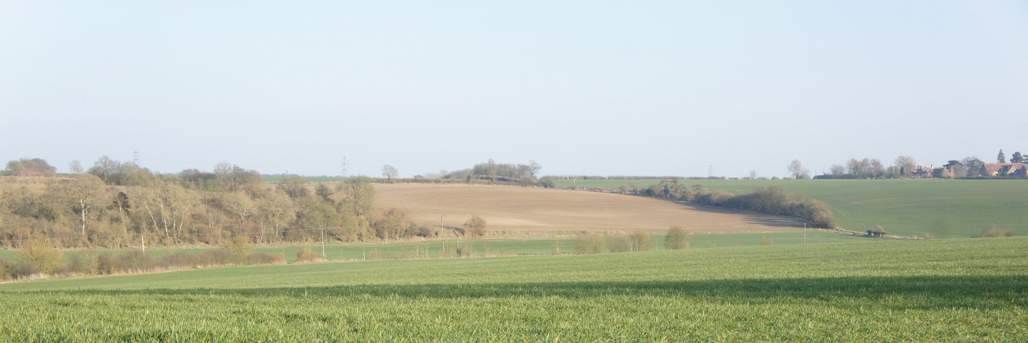 Weldon Beesly banner