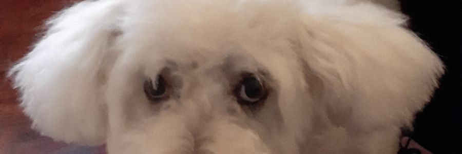 nancysoledadfa1's profile banner image