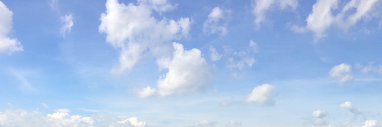 PolliniFederico's profile banner image