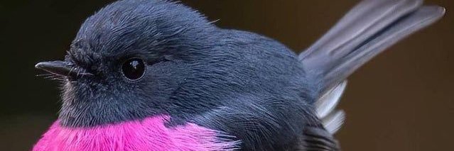 EngMerryati's profile banner image