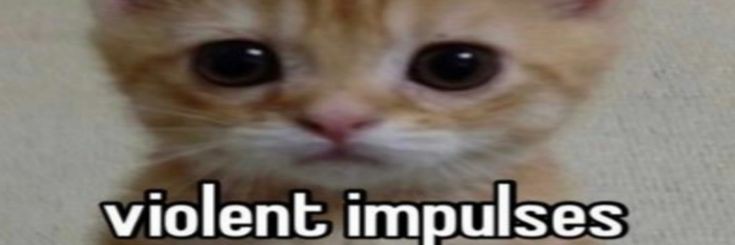 m4rieva's profile banner image