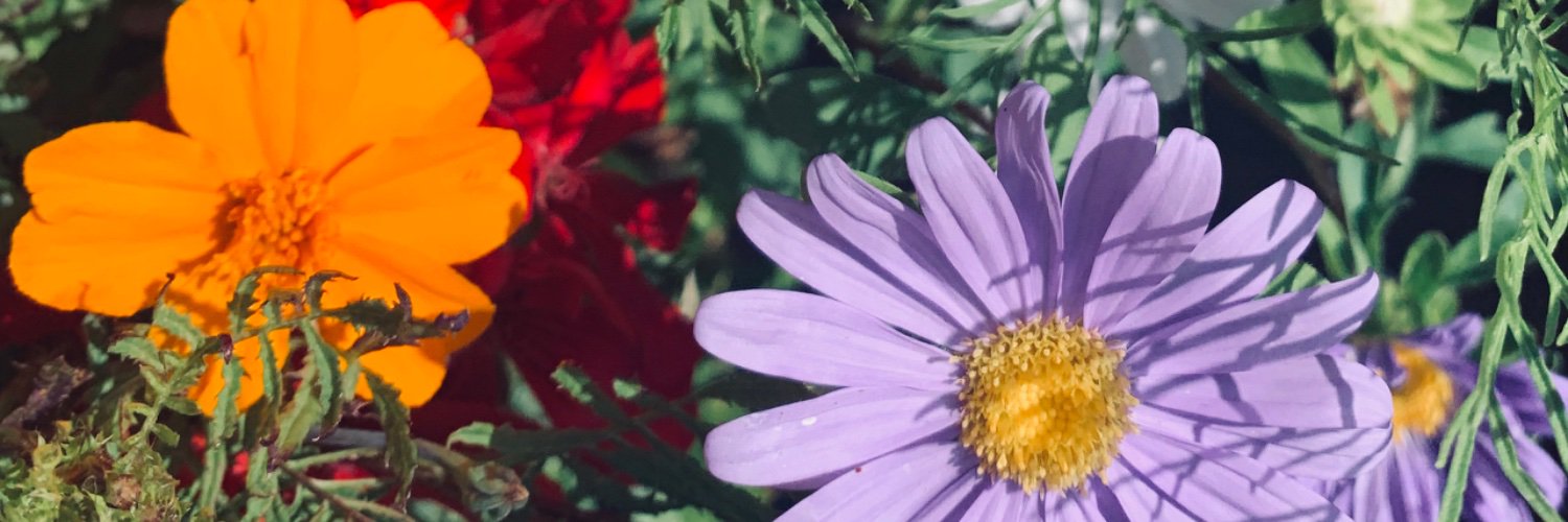berta_2812's profile banner image