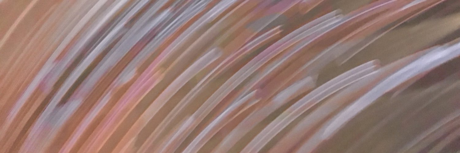 AnnaMMackey's profile banner image