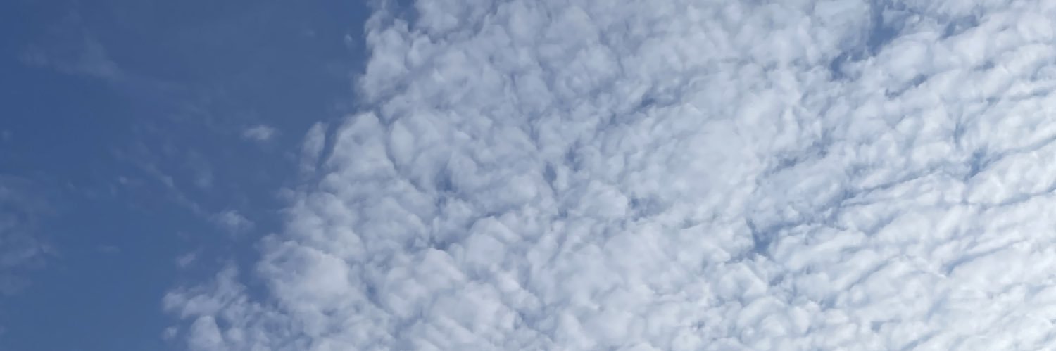 z series banner