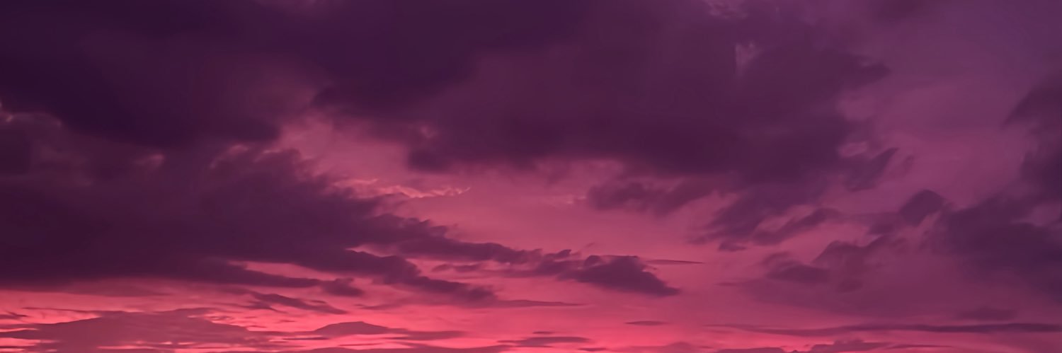 sushi banner