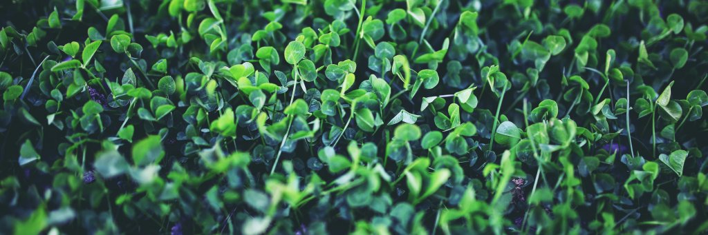 FannyBeaudoin's profile banner image