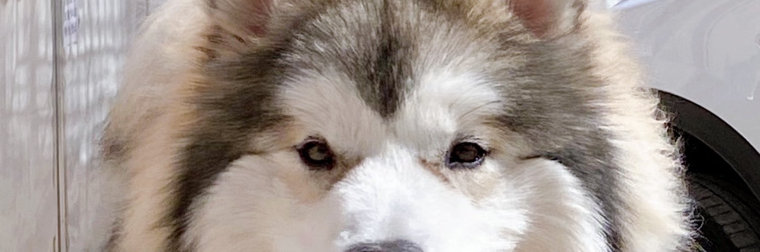 blueui's profile banner image