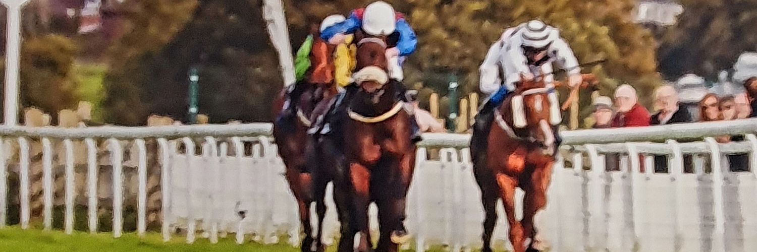 Geoff Handley banner