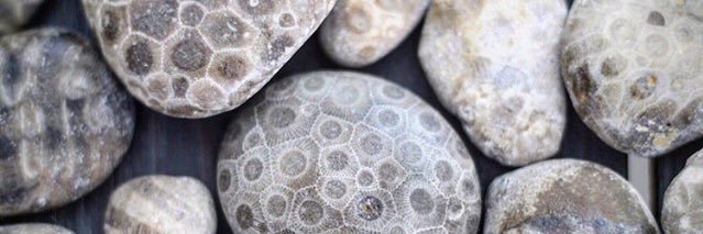 azk02568's profile banner image