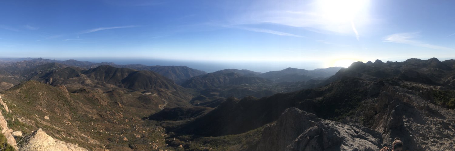 Nathaniel Shils banner