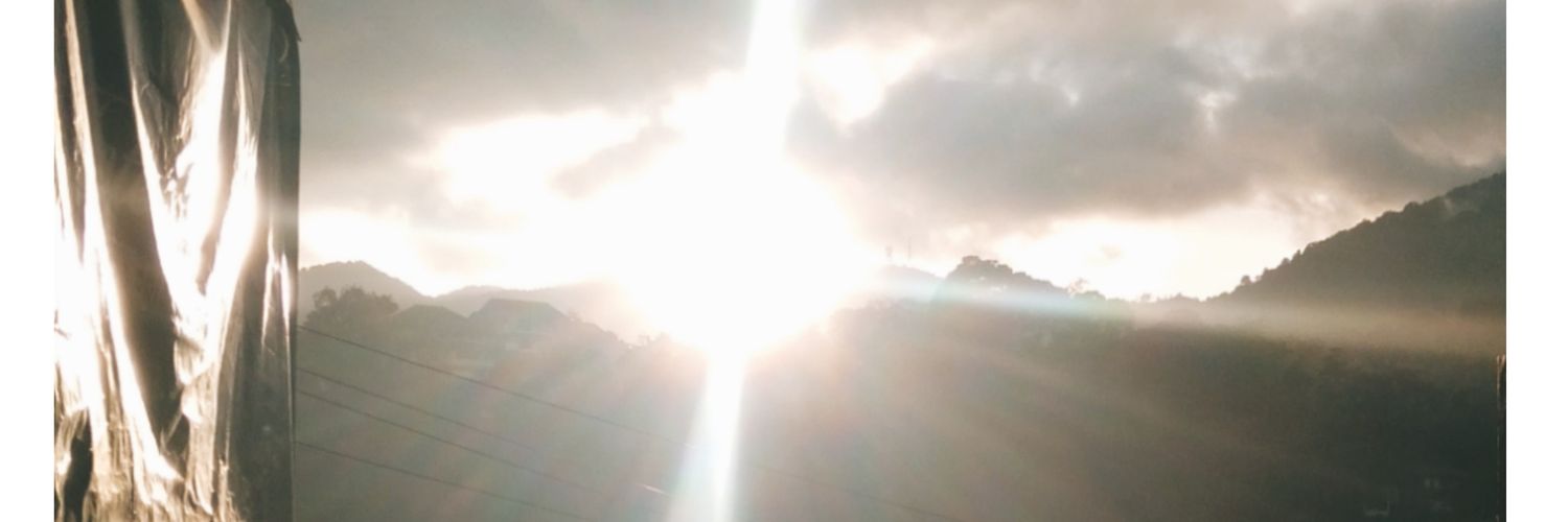 zealam_'s profile banner image