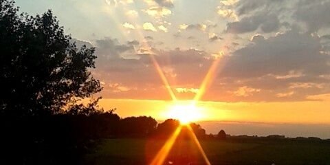 xNynkee14's profile banner image