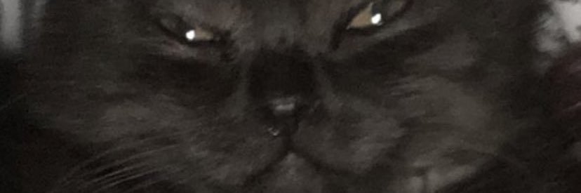 gothboiauggie's profile banner image