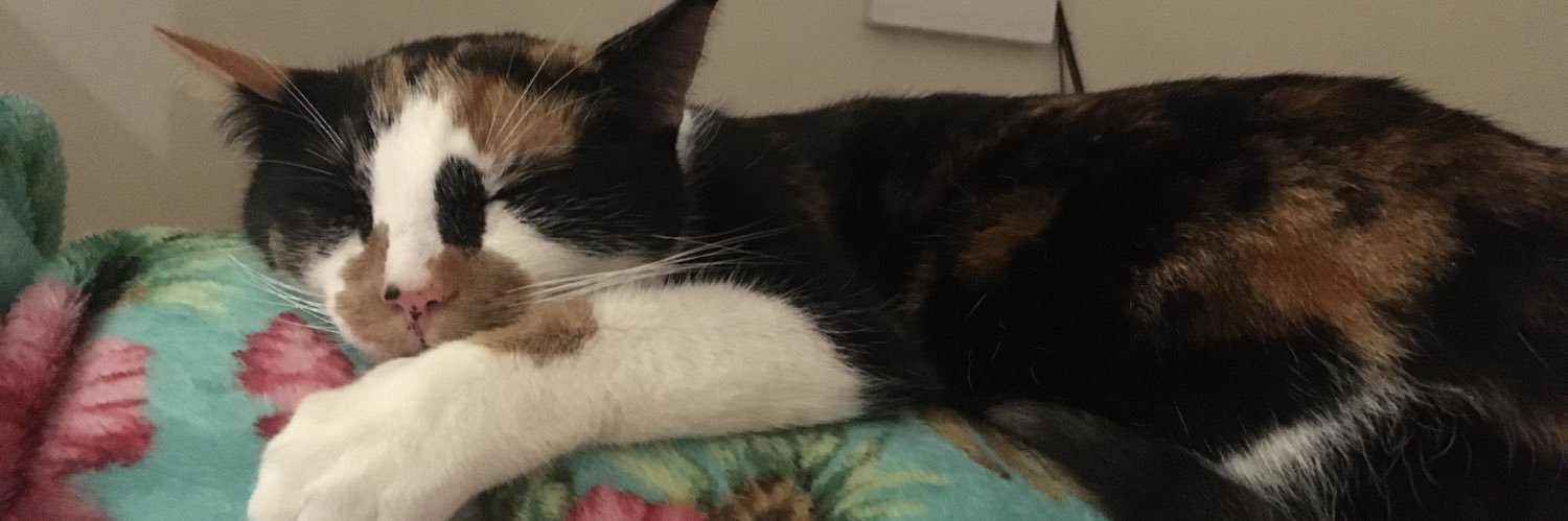 naomidthomas's profile banner image