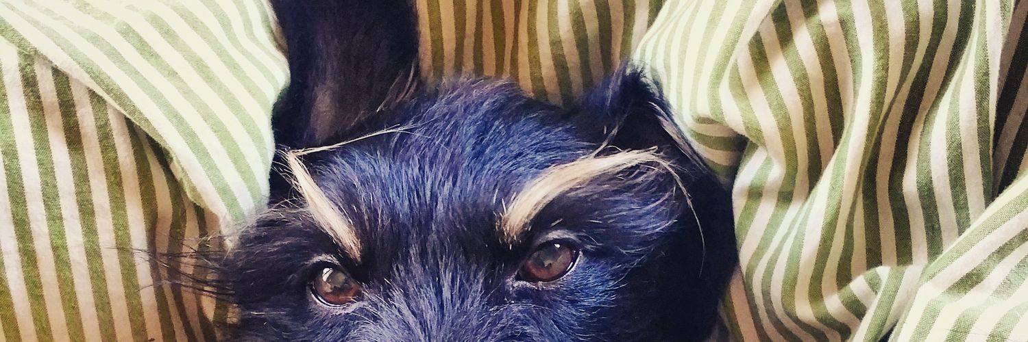 BLEustis's profile banner image