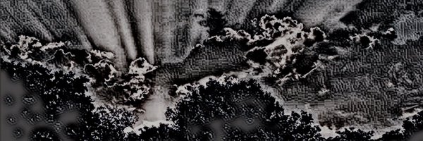 schwesig Profile Banner