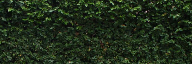rowdygouty's profile banner image