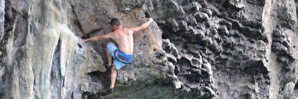 paullinator Profile Banner
