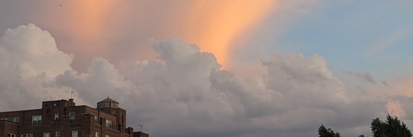 ronkavanaugh Profile Banner