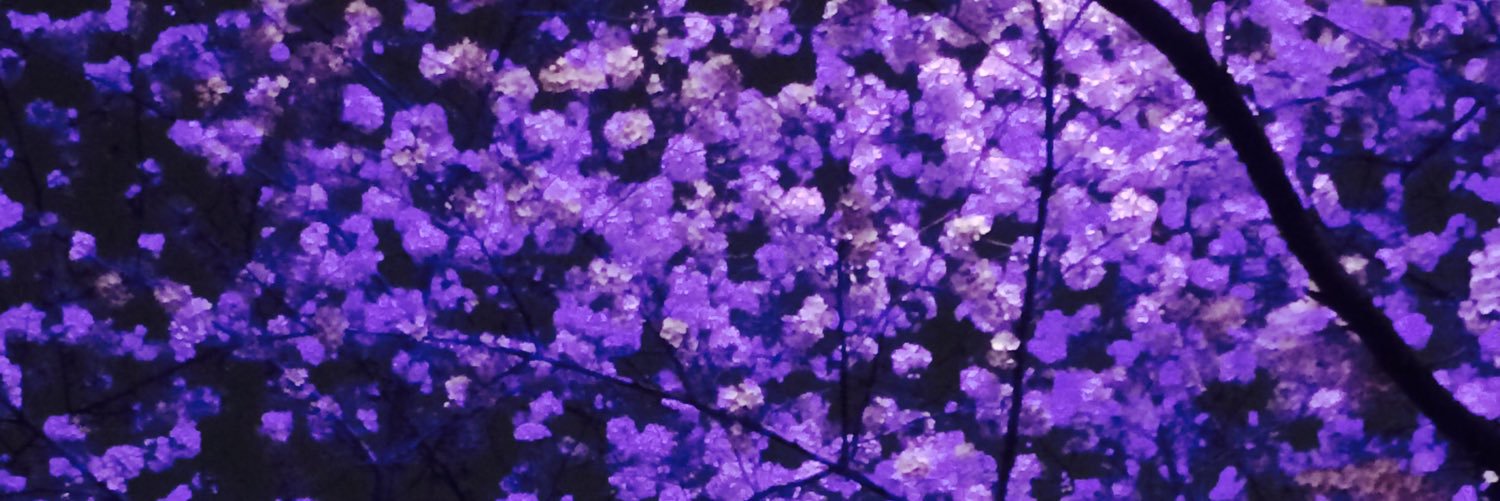 mitu_rom's profile banner image