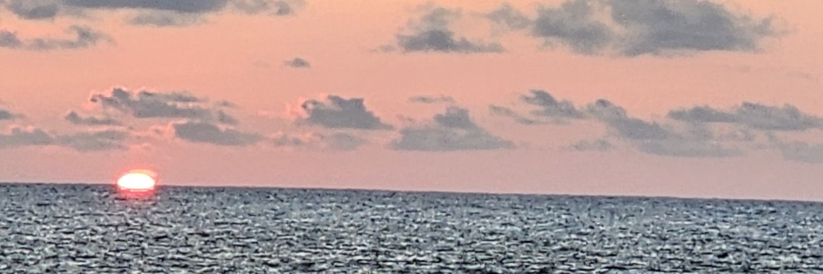 LisaBrind's profile banner image