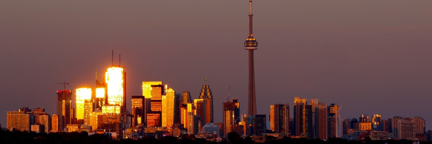 Steve Platsis banner