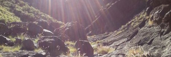 Aborigen 🇮🇨 banner
