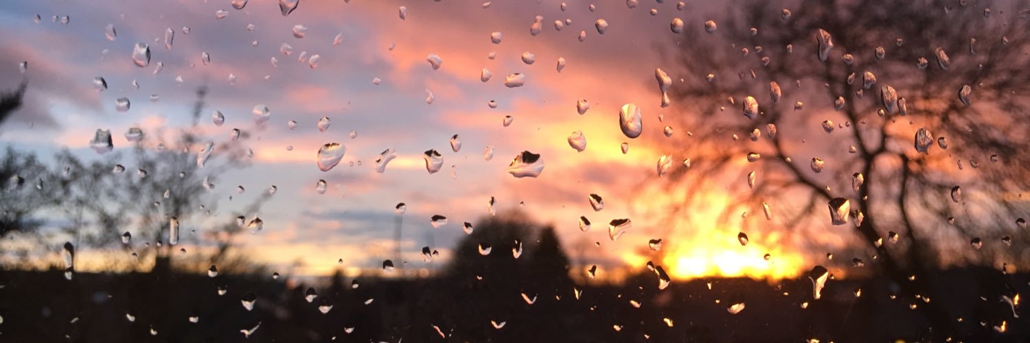 silvesterharris's profile banner image