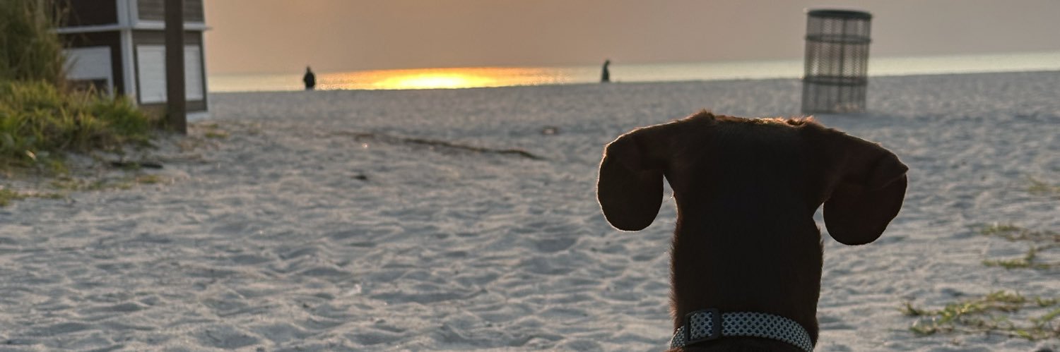 sanmarin08's profile banner image