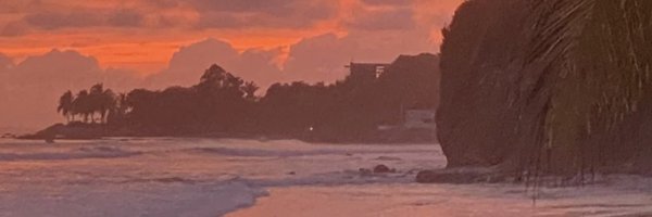 steveboogar Profile Banner