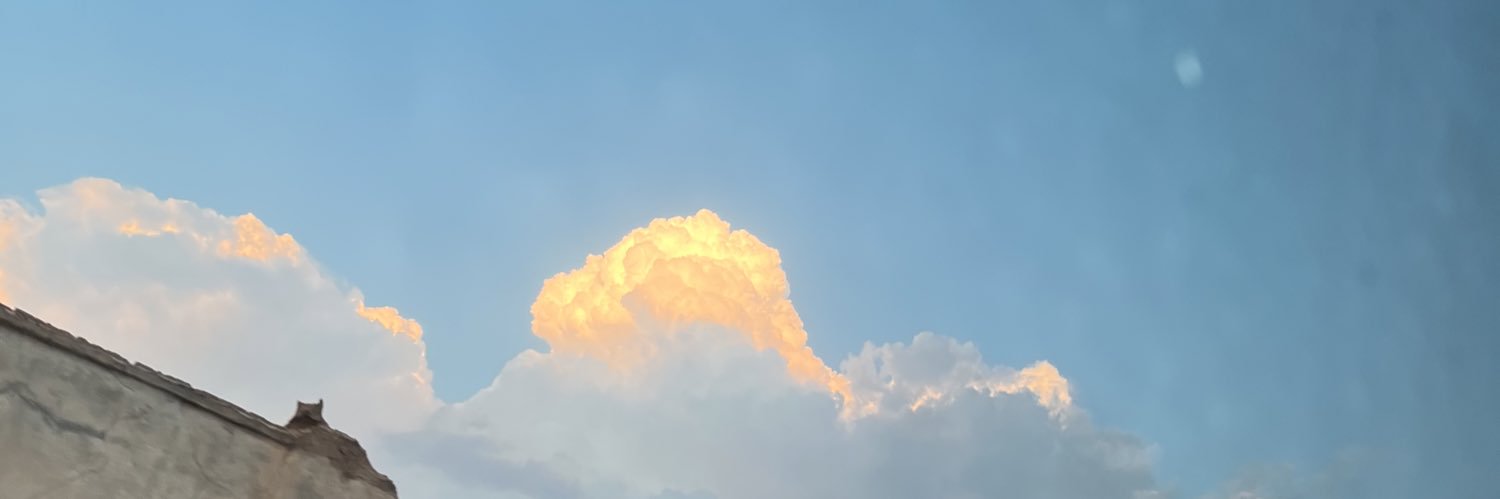 ex_Ray_'s profile banner image