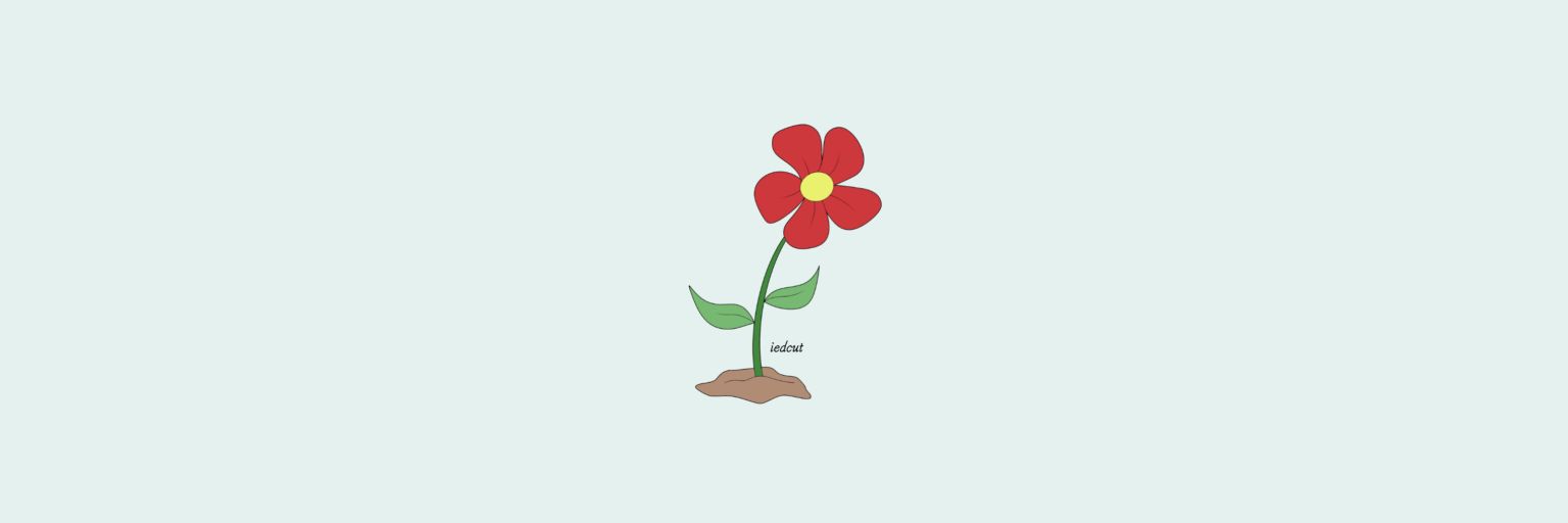 iedcut's profile banner image