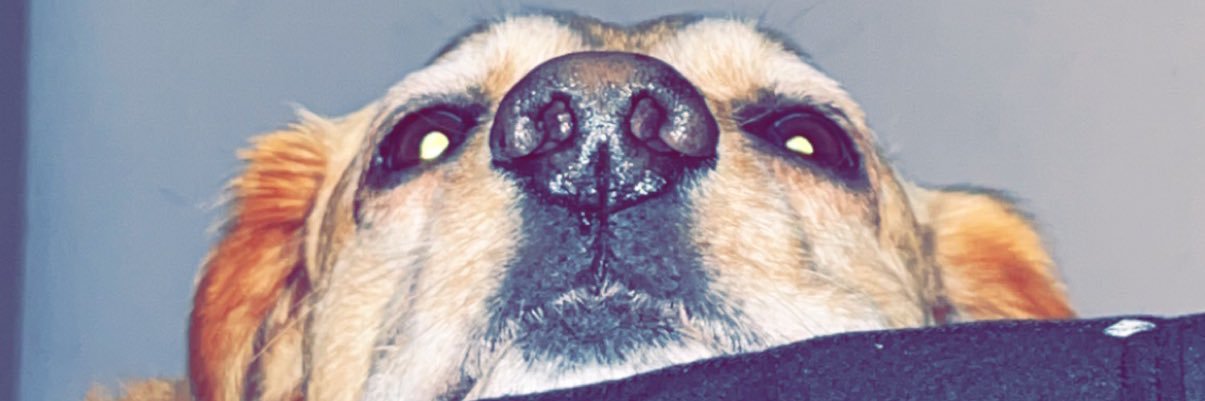 luanmitchell1's profile banner image
