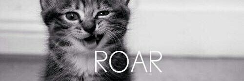 Nathan Dragun banner