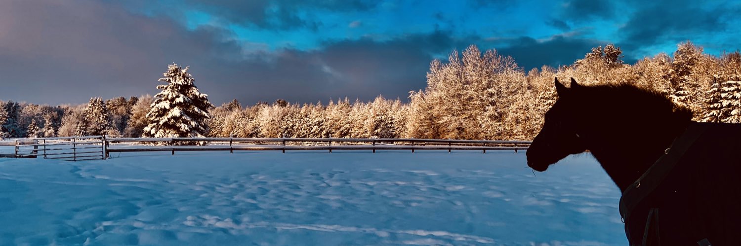 JamesBagnall1's profile banner image