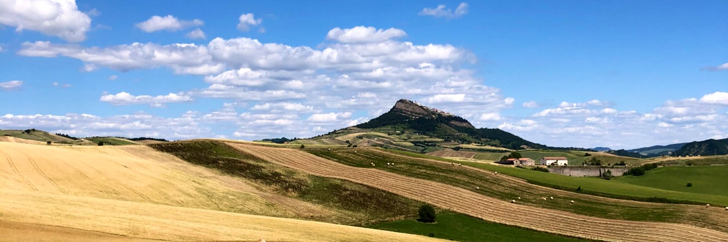 Antonella Zarra banner