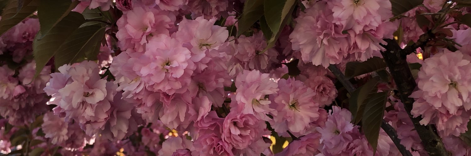 pats_chen's profile banner image
