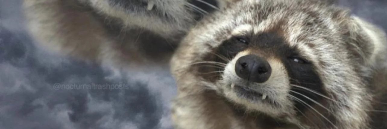 Akira_sillycat's profile banner image